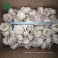 2018 Chinese normal white garlic factory wholesale price